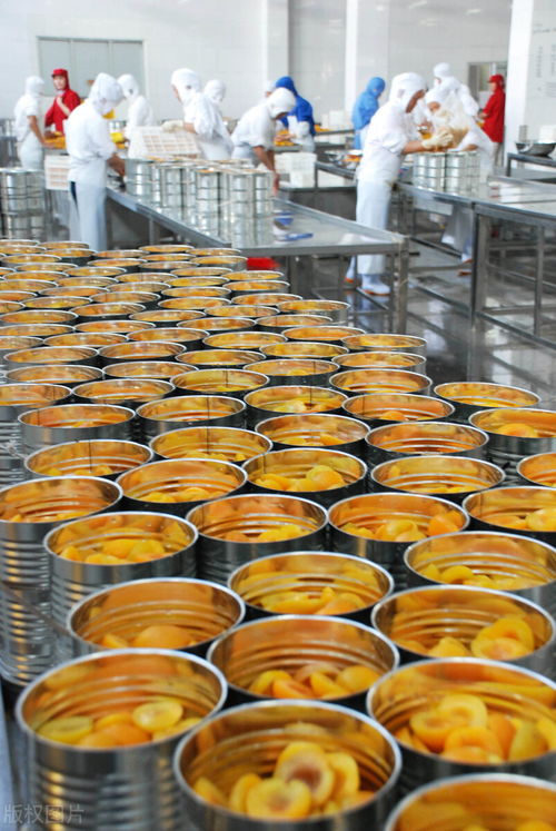 某罐頭廠(chǎng)食品加工廢水COD超標(biāo)原因分析及治理對(duì)策——以水果配送環(huán)節(jié)為切入點(diǎn)